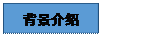 文本框: 背景介绍